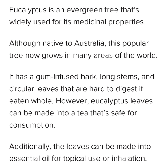 Homemade Eucalyptus Greek Yogurt Organic Soap - Picture 6 of 16